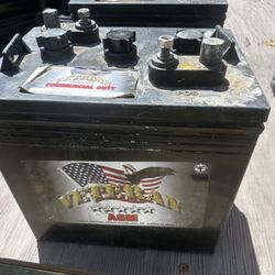 Two 6 Volt Batteries 