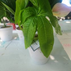 Decorative Flowers Home Decor