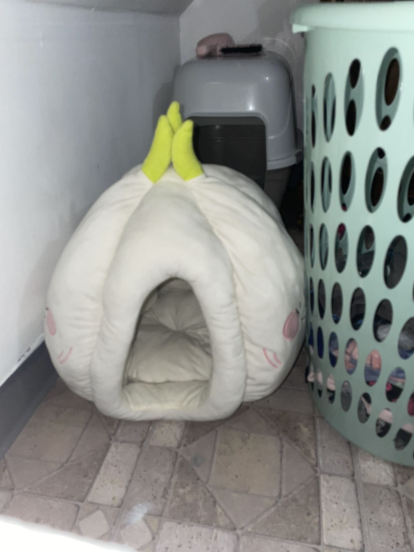 onion cat bed