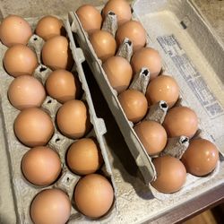 Eggs! Eggs! Eggs! Yelm/Olympia