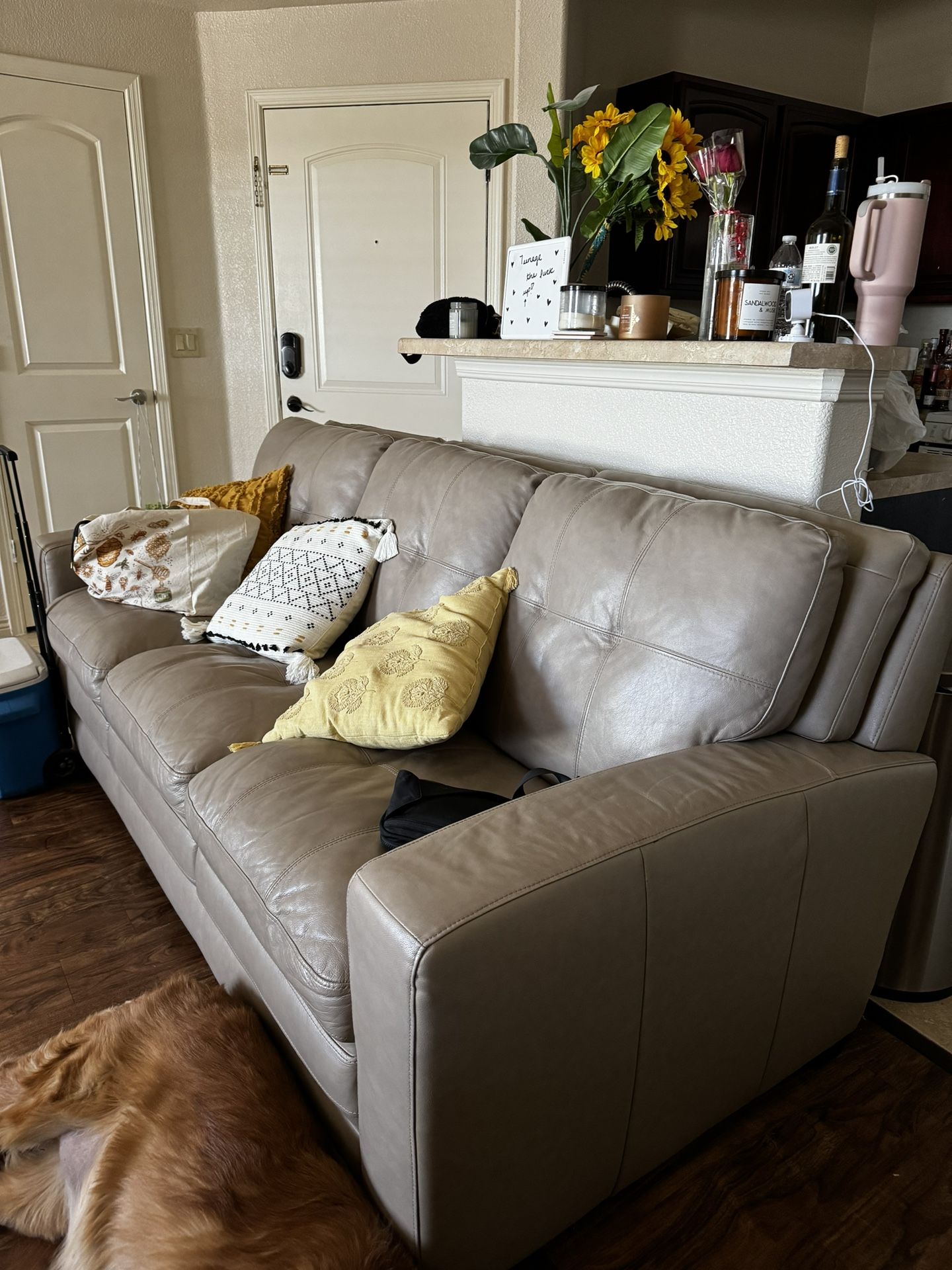 Leather Couch