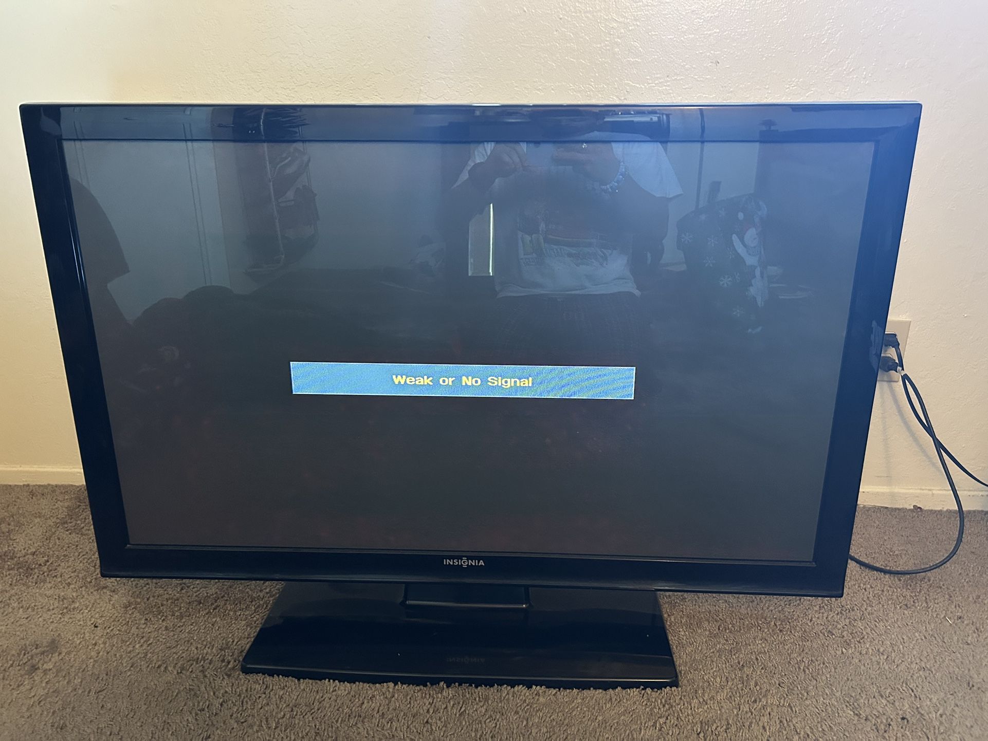 Insignia TV 2011 Plasma Display