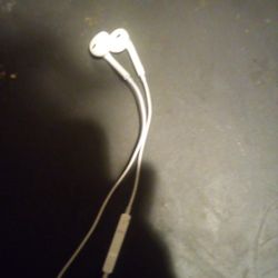 Apple Earbuds 