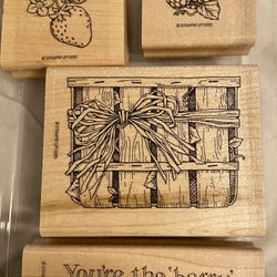 Rubber Stamp set ‘Berry Best’ Stampin Up! 