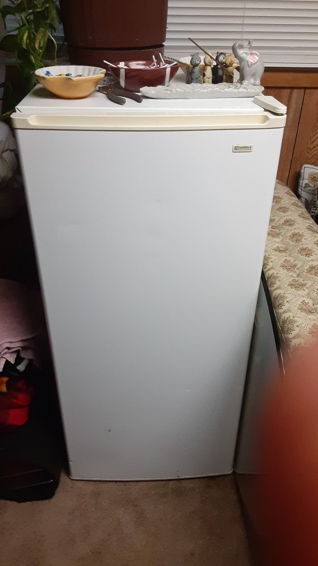 Stand up small freezer