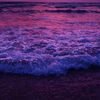 Pink And Purple 