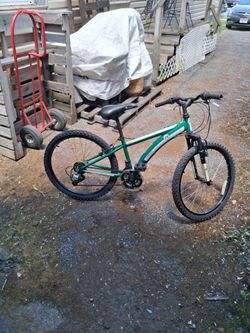 Diamond Back Cobra 24 Bike Green and white.