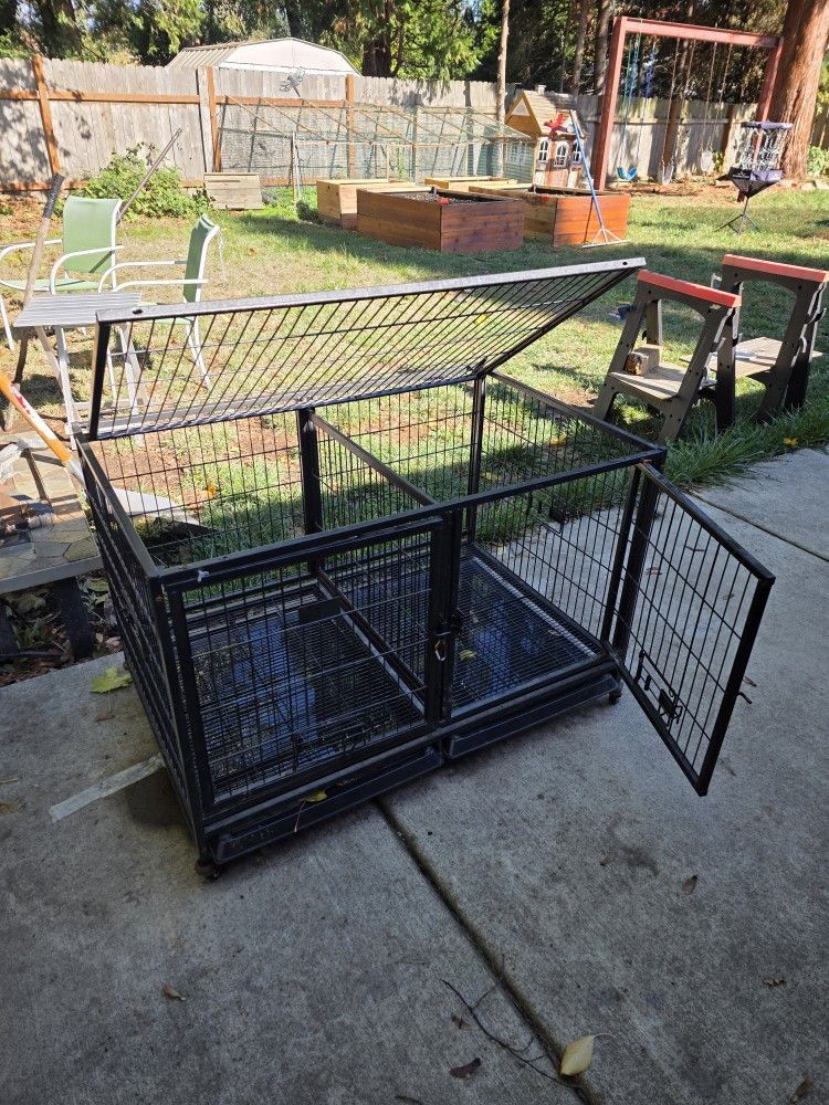 Nice Dog And Puppy Kennel