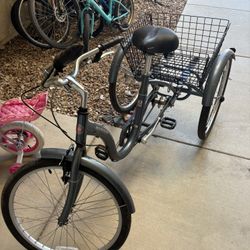 Schwinn Meridian