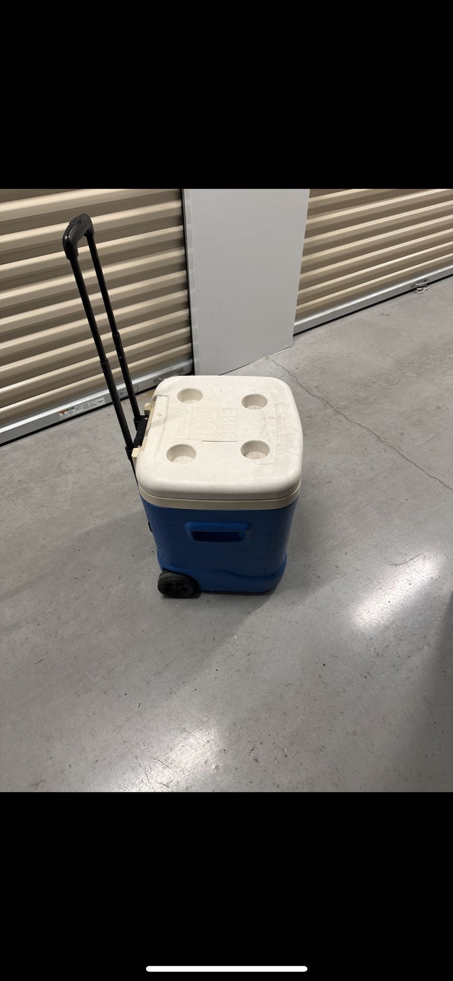 Igloo  coolers $10