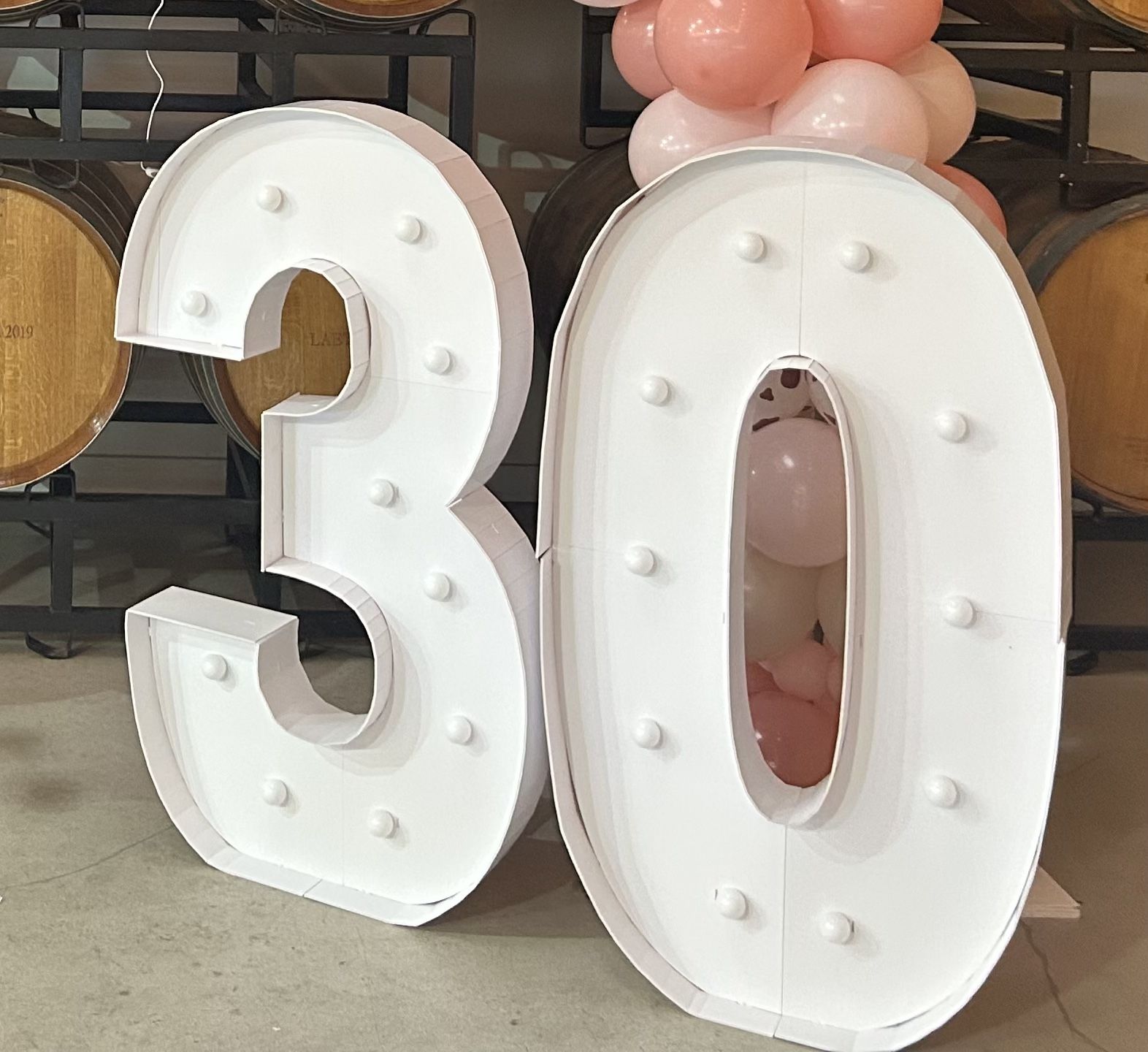 LED Neon number sign