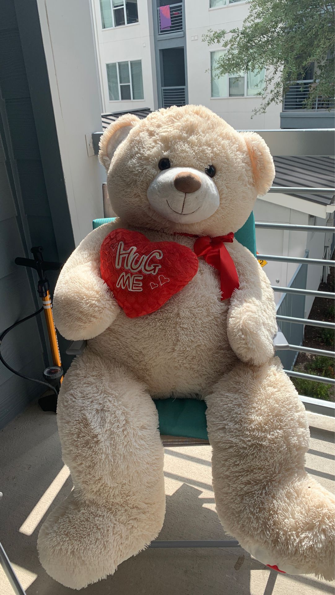 Big Hug Me teddy bear !