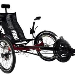 Electric Recumbent Bike (New)