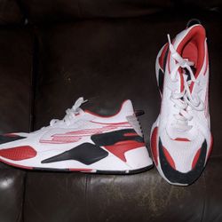 PUMAS