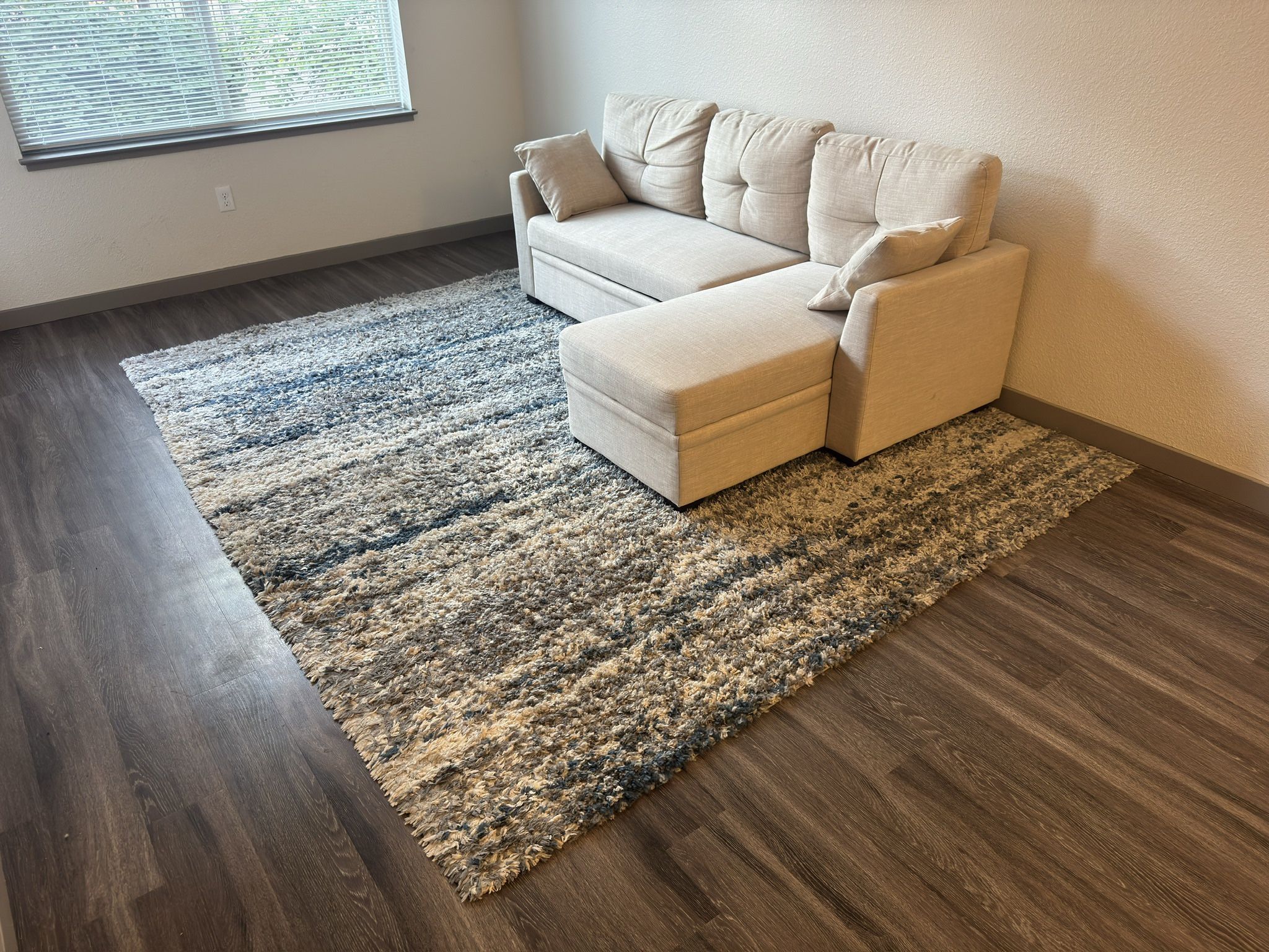 Sectional Couch w/ rug