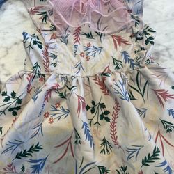 Dog Clothes 