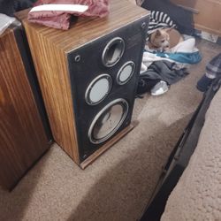 Tall Stereo Speakers 
