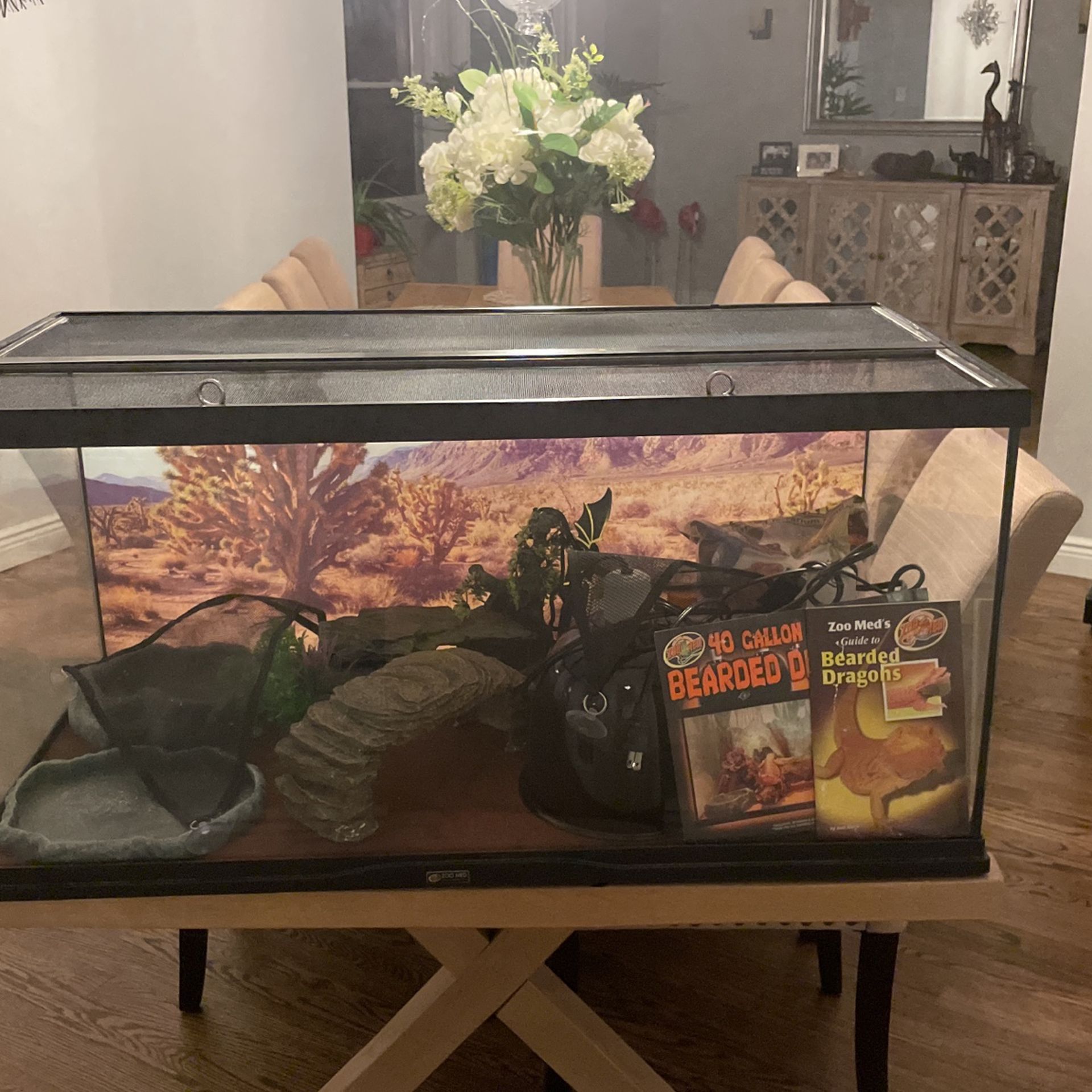 Lizard Or Reptile Terrariam