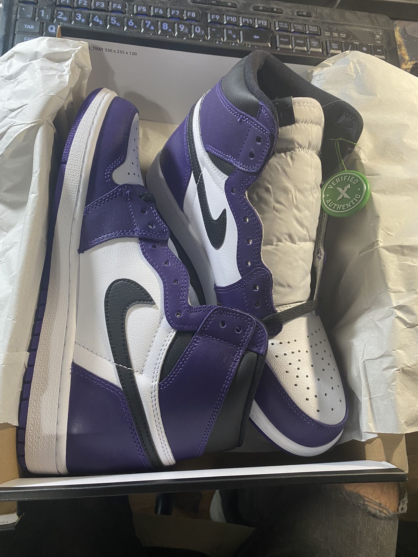 Air Jordan 1 Retro High OG Court Purple (Size: 10.5)
