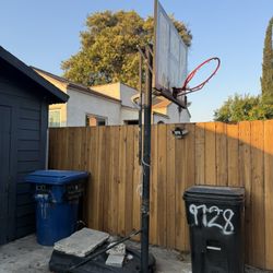 Metal Free Take All