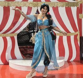 Jazmine costume with necklace and purse! (No wig, only headband)