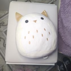 Owl Squishmallow