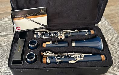 Clarinet with carry case in excellent condition. $65