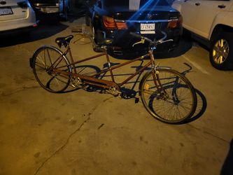 Schwinn Double Bike Original