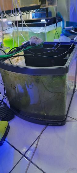 10g Biocube Fish Tank
