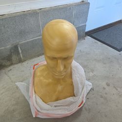 Male Bust