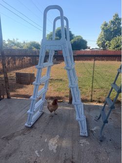 Ladder for above ground pool