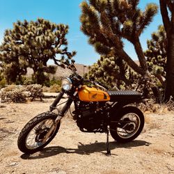 1984 Honda XL600r Scrambler 