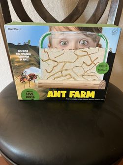 Ant Farm