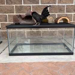Reptile Tank 
