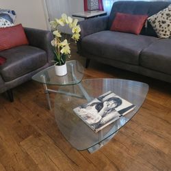 Moving! Needs New Home