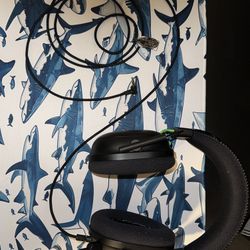 Razer Black Shark gaming headset (wired, detachable mic)