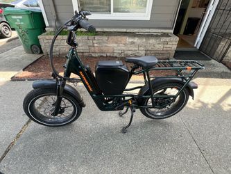 E-bike - RadRunner Max Electric Cargo Utility Bike