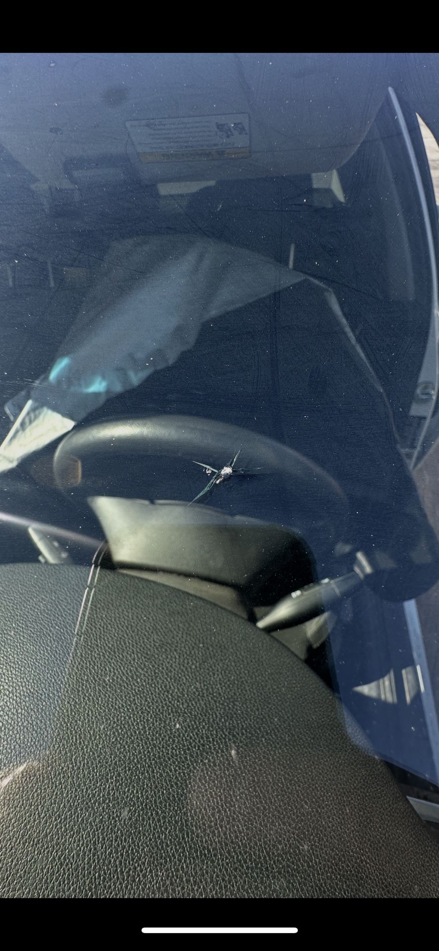 Windshield