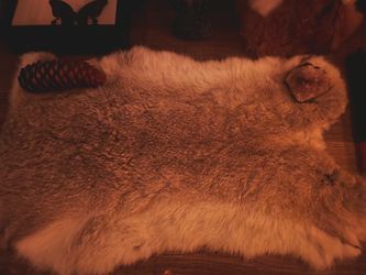 Grey and white rabbit pelt