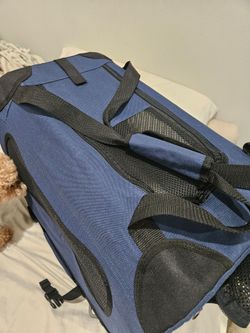 Pet carrier and crate