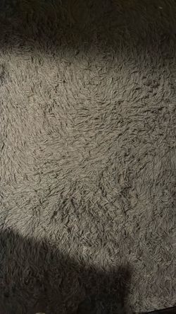 Free Rug- 5’x8’ gray