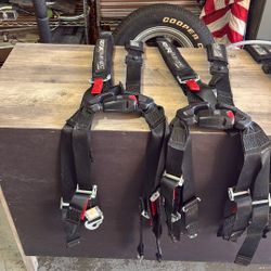 2021 Razor Seat Belts