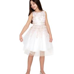 Shimmer floral embroidered dress for little girls Toddler Girls 2T Dress