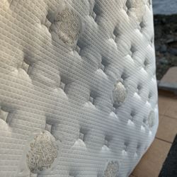 Trump Home High End Mattress Retail 1599$