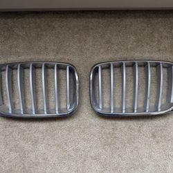 2015-17 BMW X3 kidney grill OEM