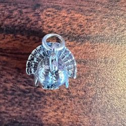 Retired James Avery Turkey Charm for Sale in Alvin TX OfferUp