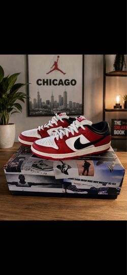 SB Dunks