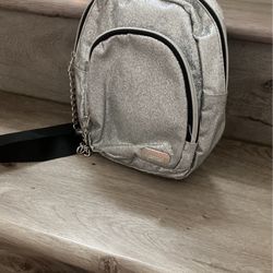 Silver Bag