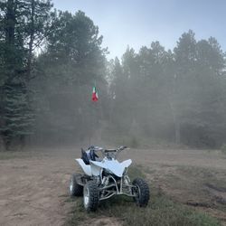 Yfz 450