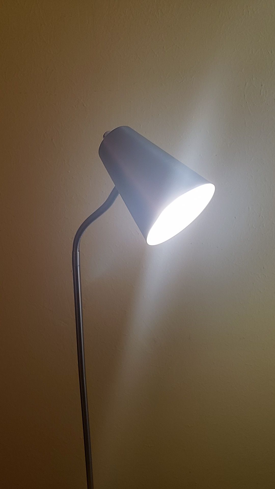 Silver Floor Lamp with Bright White Light